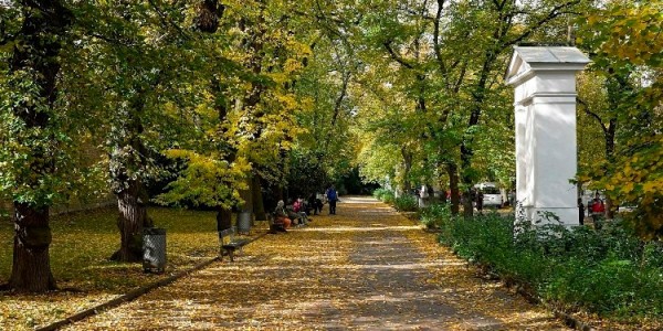 eikona 1 - petrin_autumn