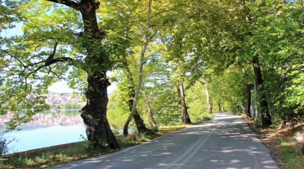 kastoria.8