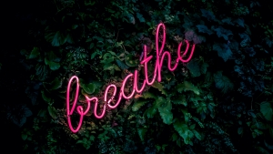 Ασκήσεις αναπνοής