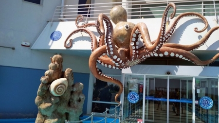 &Epsilon;&pi;ί&sigma;&kappa;&epsilon;&psi;&eta; &sigma;&tau;&omicron; CRETAquarium