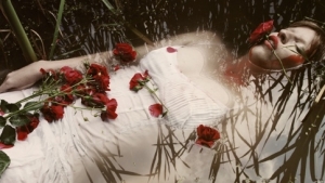 Το άγριο ρόδο, Elisa Day