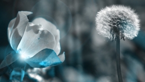 Μία πορνογραφική σχέση