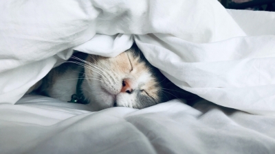 10 &tau;&rho;ό&pi;&omicron;&iota; &gamma;&iota;&alpha; &xi;&epsilon;&kappa;&omicron;ύ&rho;&alpha;&sigma;&tau;&omicron; ύ&pi;&nu;&omicron;