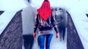 Νυχτερινό σχολείο - C. J. Daugherty