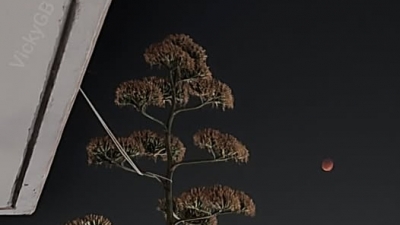 Tο ματωμένο φεγγάρι