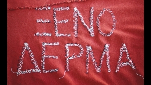 Ξένο Δέρμα - Tana French